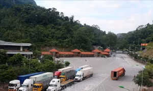 Lạng Sơn thí điểm quy trình sử dụng nền tảng cửa khẩu số