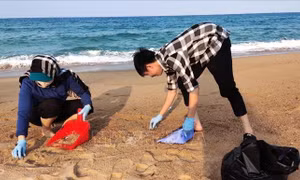Không còn tình trạng dầu vón cục, san hô nấm trôi dạt vào bờ biển Tuy Hòa