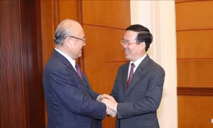 Thường trực Ban Bí thư tiếp Cố vấn đặc biệt Liên minh Nghị sỹ hữu nghị Nhật - Việt 