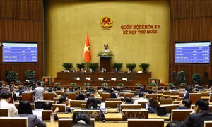  Quốc hội thông qua Nghị quyết về việc giám sát chuyên đề và chất vấn