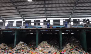 Môi trường là tiêu chí quan trọng đánh giá hiệu quả, tính bền vững của kinh tế - xã hội