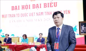 Hoạt động Mặt trận Tổ quốc hướng mạnh về cơ sở