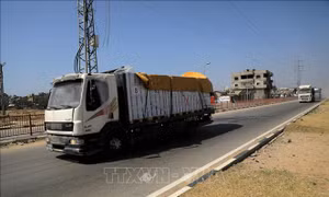 Ai Cập, Mỹ tạm thời đưa hàng viện trợ vào Gaza qua cửa khẩu Kerem Shalom
