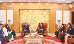 Đoàn đại biểu Đảng Nur Otan, Cộng hòa Kazakhstan thăm Việt Nam