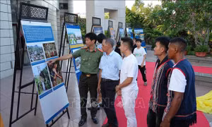 Khám phá bản sắc - Kết nối biển rừng tại Quảng Ngãi