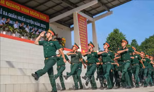 Tiêu chí xét thăng quân hàm cấp tướng vượt bậc, trước thời hạn