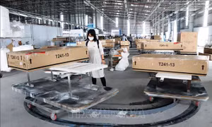 Xuất khẩu trực tuyến: Chủ động mở rộng quy mô và phát triển thương hiệu