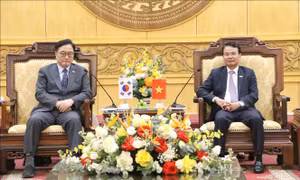 Chủ tịch Quốc hội Hàn Quốc làm việc tại Ninh Bình