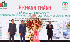 Công bố thương mại vaccine chống bệnh dịch tả lợn châu Phi