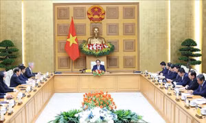 Thủ tướng: Cụ thể hóa quan hệ Đối tác chiến lược toàn diện Việt Nam - Hoa Kỳ bằng những chương trình cụ thể