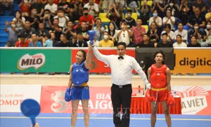 Wushu Việt Nam khởi đầu thành công