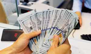 Áp lực lên tỷ giá vẫn thường trực tới tháng 11