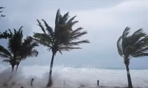Bão Rafael mạnh trở lại thành bão cấp 3