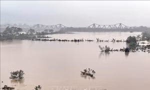 Lũ trên sông Hồng ở Hà Nội vượt báo động 2