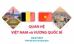 Quan hệ hữu nghị và hợp tác Việt Nam - Vương quốc Bỉ 