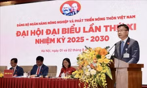 Giữ vai trò trụ cột trong cấp tín dụng, cung ứng dịch vụ ngân hàng cho lĩnh vực 'Tam nông'