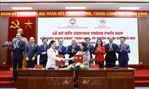 Trung ương Mặt trận Tổ quốc Việt Nam và Hội Chữ thập đỏ tăng cường phối hợp 