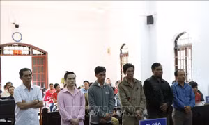  Xét xử 6 bị cáo trong vụ hủy hoại 6,4 ha rừng tại Đắk Nông
