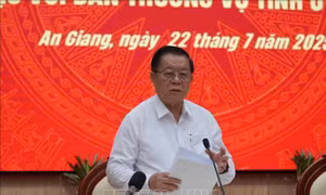 Trưởng Ban Tuyên giáo và Dân vận Trung ương làm việc với Tỉnh ủy An Giang​