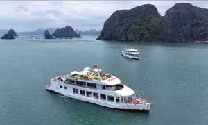 Trải nghiệm du lịch chất lượng cao trên Vịnh Bái Tử Long