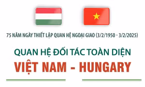 Việt Nam sẵn sàng tham gia tích cực và phối hợp với Đoàn Ngoại giao tại Hungary