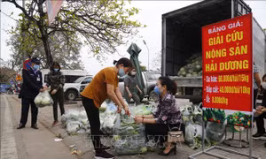 Tiêu thụ nông sản trong tình huống khẩn cấp - Bài 1: Kích hoạt cơ chế hỗ trợ