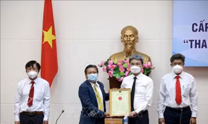 Bảo hộ chỉ dẫn địa lý 'Thanh long Bình Thuận' tại Nhật Bản: Cơ hội và thách thức