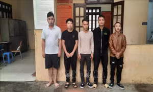 Hà Nội: Triệt phá ổ nhóm trộm cắp tại siêu thị Điện máy Xanh