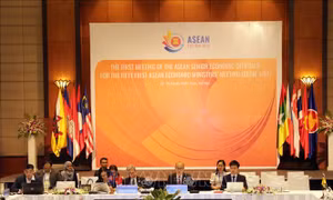 Việt Nam đưa ra 14 sáng kiến trong định hướng chương trình ASEAN 2020