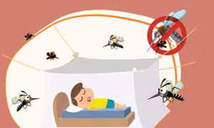 Biện pháp tránh bị muỗi đốt, phòng tránh hiệu quả sốt xuất huyết
