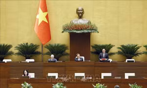 Thông cáo báo chí số 13, Kỳ họp không thường lệ thứ Nhất, Quốc hội khóa XVI