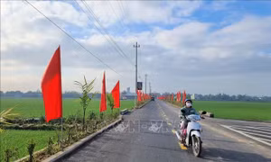 Chính phủ phê duyệt Chương trình mục tiêu quốc gia xây dựng nông thôn mới giai đoạn 2021 – 2025