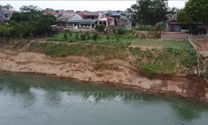 Phú Thọ: Sạt lở bờ sông Đà, uy hiếp tính mạng và tài sản của nhiều hộ dân