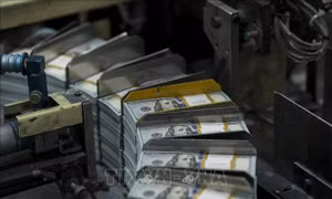 Kỳ vọng Fed tăng lãi suất giúp đồng USD củng cố sức mạnh