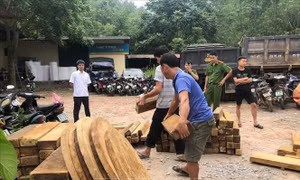 Xử lý nghiêm các hành vi tàng trữ và mua lâm sản trái phép