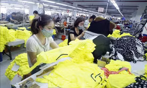Việt Nam mang đến nhiều cơ hội đầu tư cho các doanh nghiệp Ấn Độ