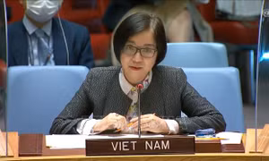 Việt Nam kêu gọi các bên kiềm chế, tập trung đàm phán vấn đề Israel-Palestine