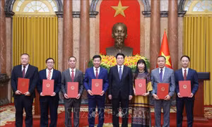 Chủ tịch nước trao quyết định phong hàm và bổ nhiệm Đại sứ 