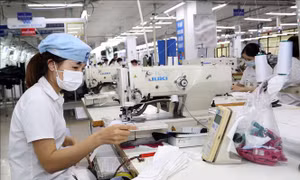 Các ứng dụng di động ngày càng được người Việt sử dụng.