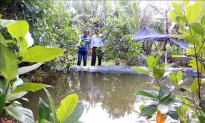 Giảm thiểu tác động tiêu cực cho người dân trong mùa hạn, mặn