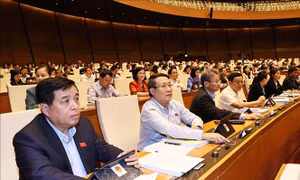 Quốc hội biểu quyết thông qua Luật Biên phòng Việt Nam