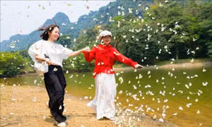 Cúc Phương rộn ràng mùa bướm đến sớm