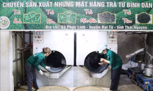 Chè Thái Nguyên vẫn chủ yếu tiêu thụ ở thị trường nội địa