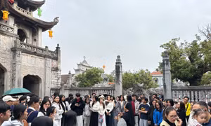 Về miền Giáng sinh an bình
