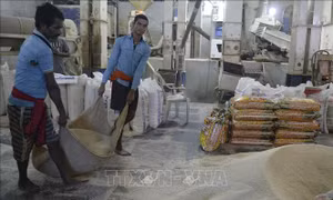 Ấn Độ vẫn hỗ trợ các đối tác chiến lược bất chấp lệnh cấm xuất khẩu gạo