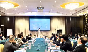 Các nhà đầu tư Hong Kong đánh giá cao tiềm năng của tỉnh Bình Phước