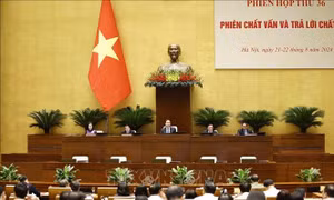 Ủy ban Thường vụ Quốc hội chất vấn về các lĩnh vực tư pháp, nội vụ, an ninh, thanh tra, tòa án và kiểm sát