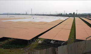 Vướng đàm phán giá - Bài cuối: Giải pháp linh hoạt để tránh lãng phí nguồn điện 'sạch'