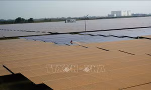 Vướng đàm phán giá - Bài 2: Mong sớm có giá điện sạch