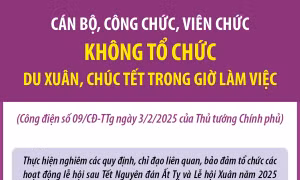 Cán bộ, công chức, viên chức không tổ chức du Xuân, chúc Tết trong giờ làm việc